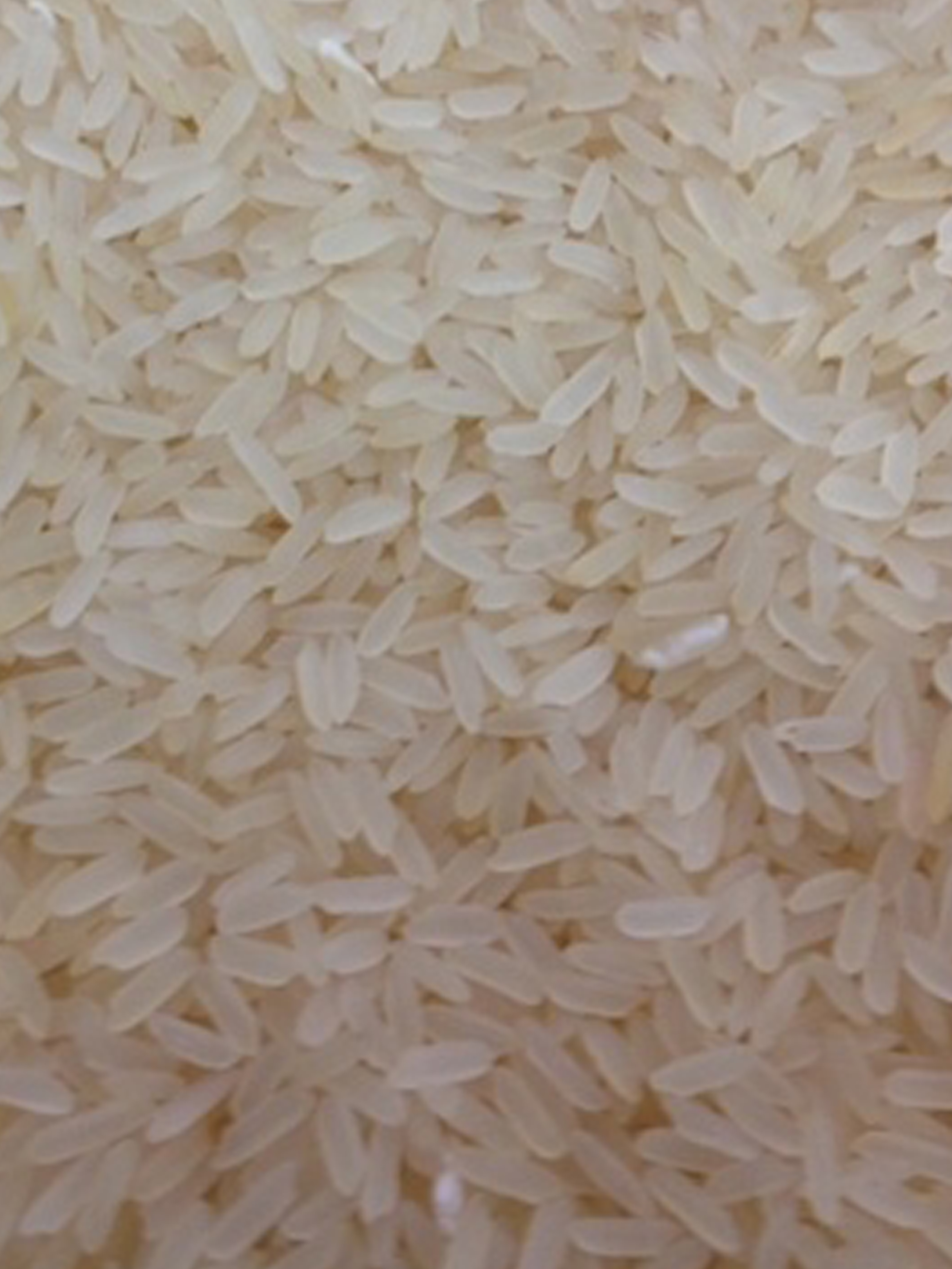 product name